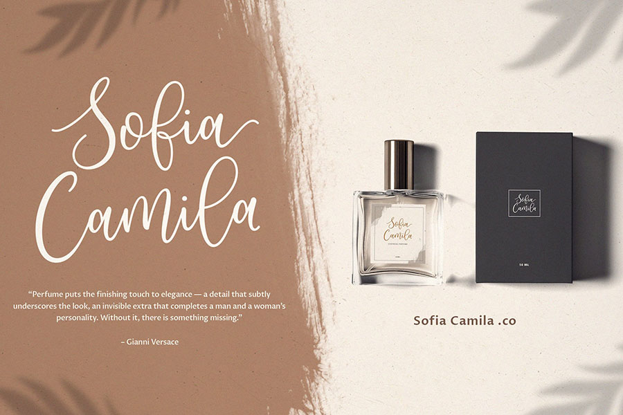 Agreable Modern Script Font Download