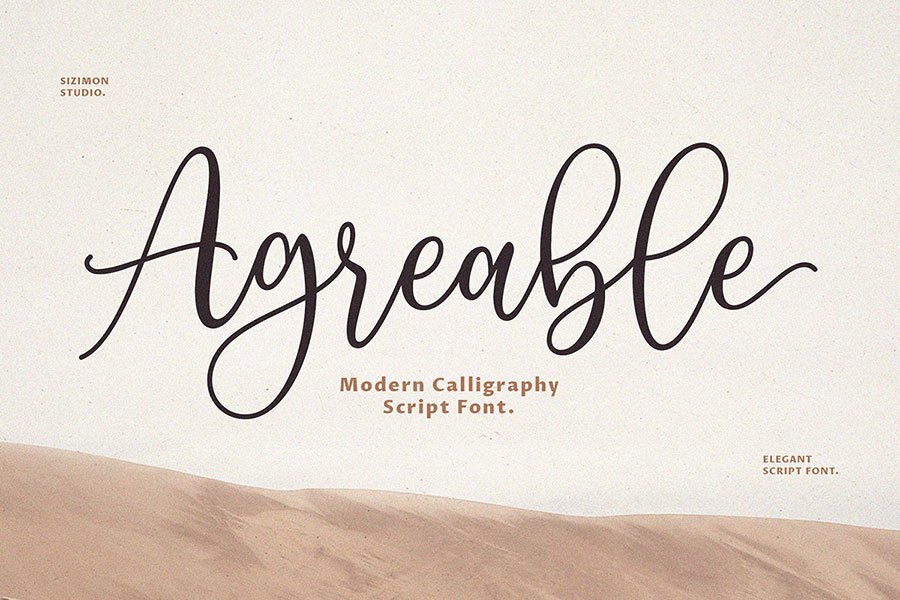 Agreable Modern Script Font