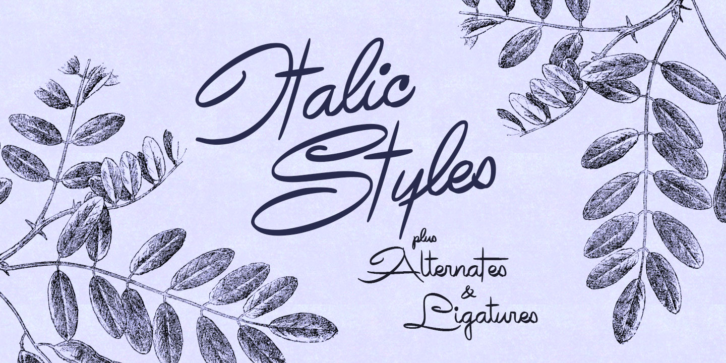 Avelana Font Free Download