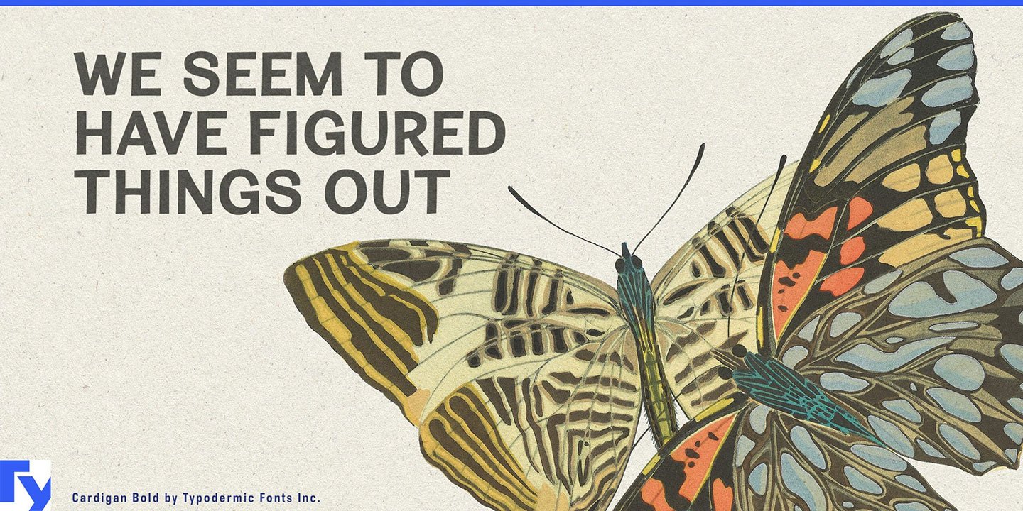 Cardigan Titling  Font Download