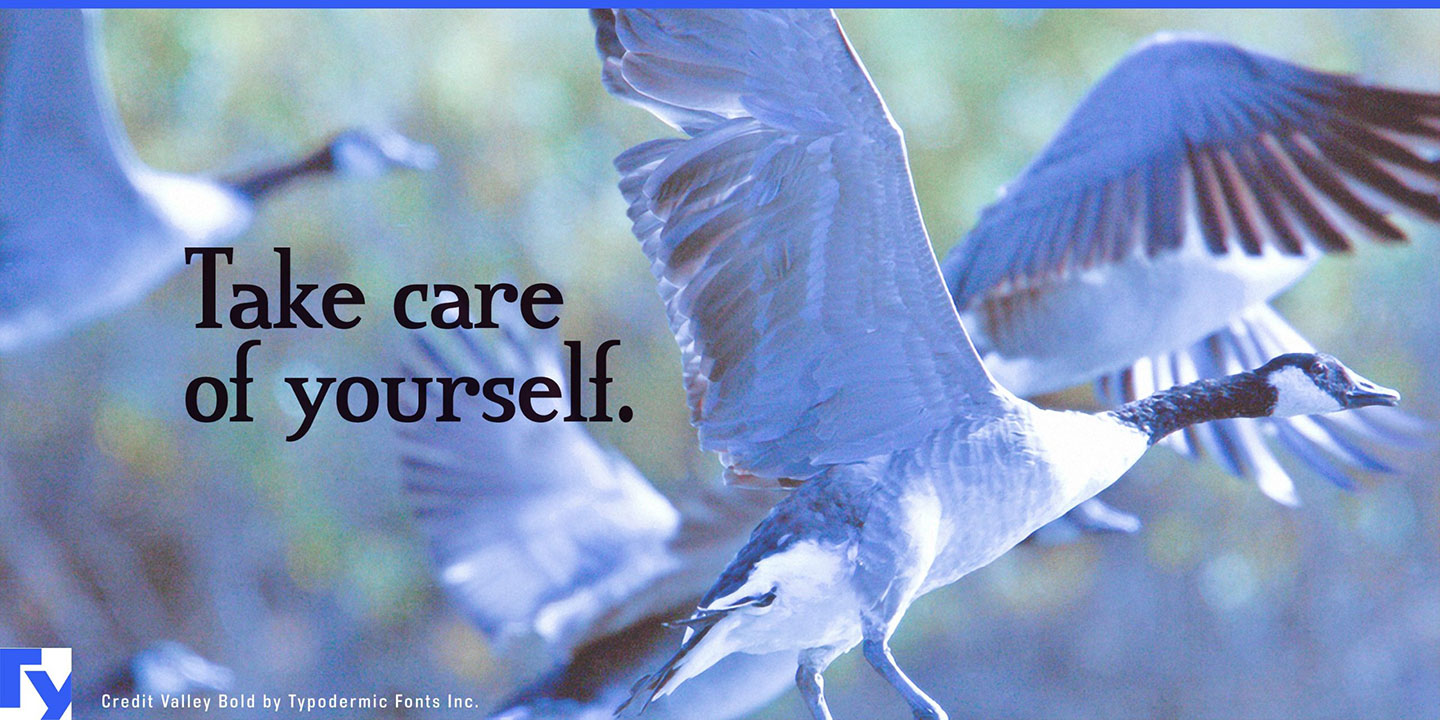 Credit River Font Download