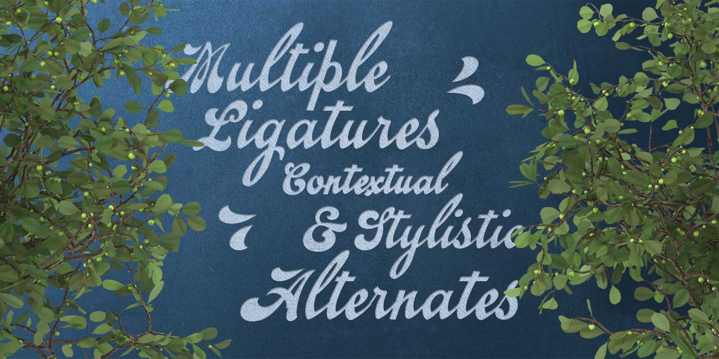 Emiral Script Font Download