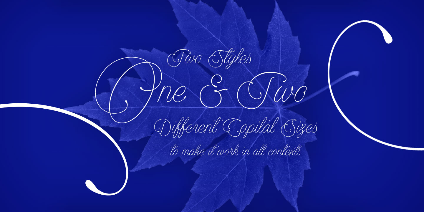 Encina Script Font Download