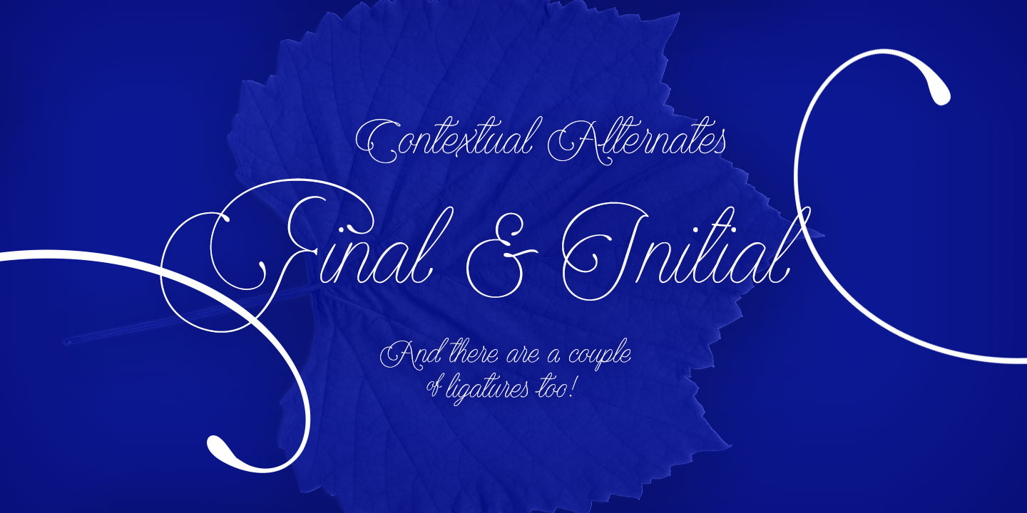 Encina Script Font Free Download