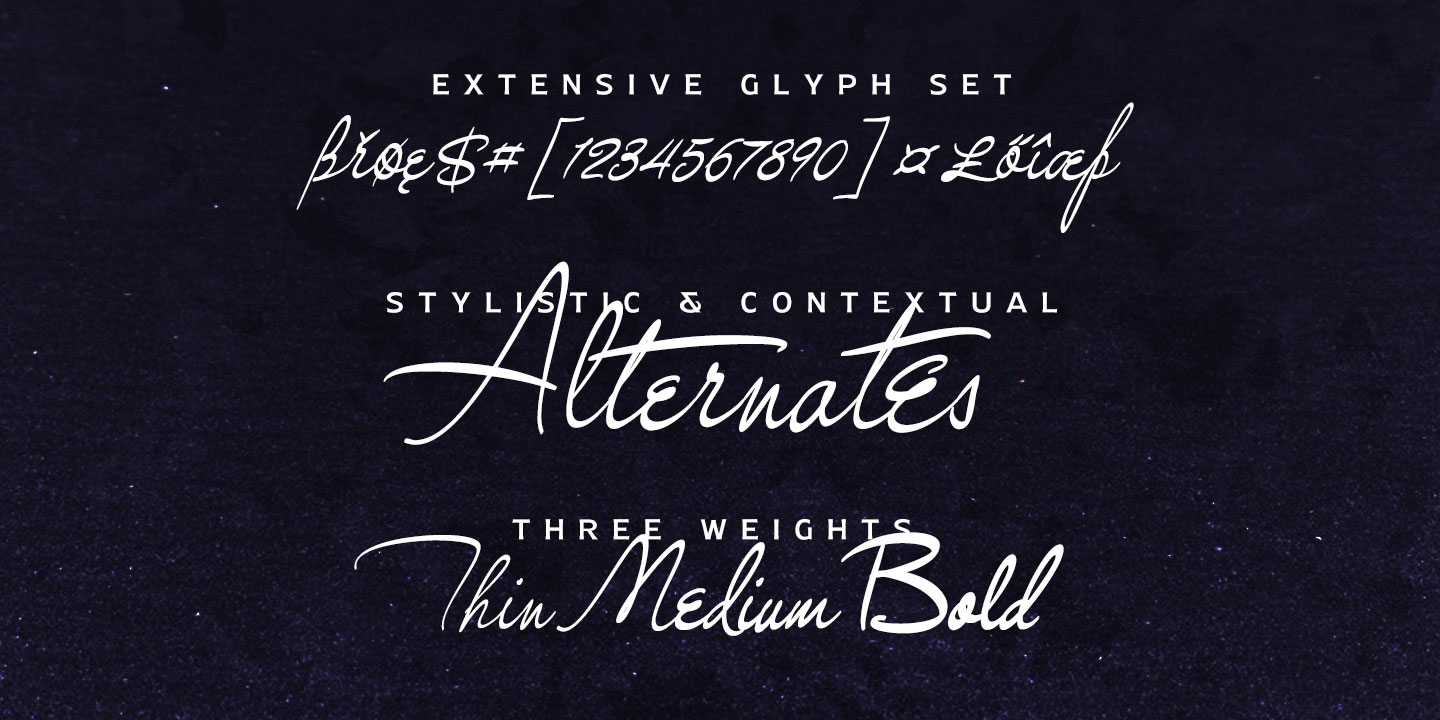 Gingo Font Free Download