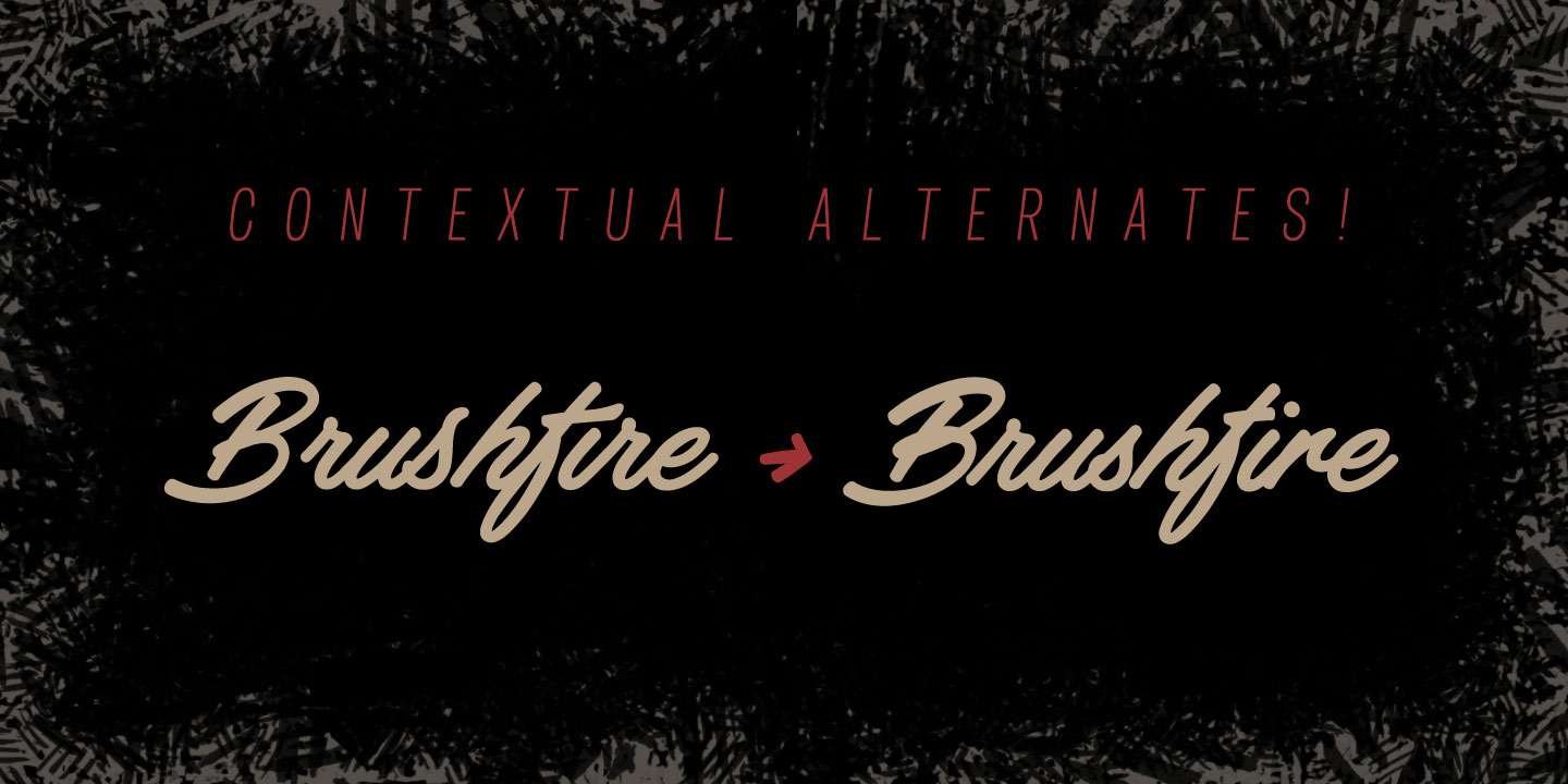 Haydon Brush Font Free Download