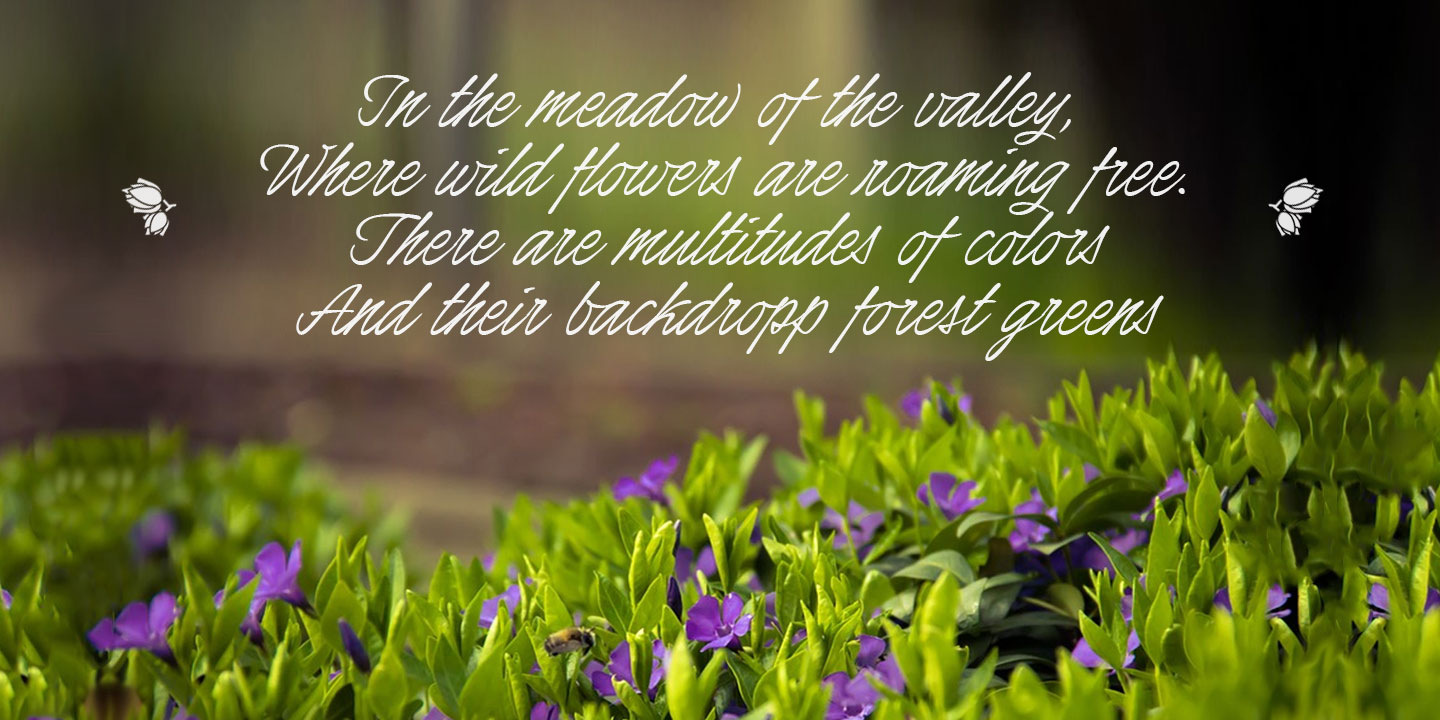 Honeymoon Font Free Download