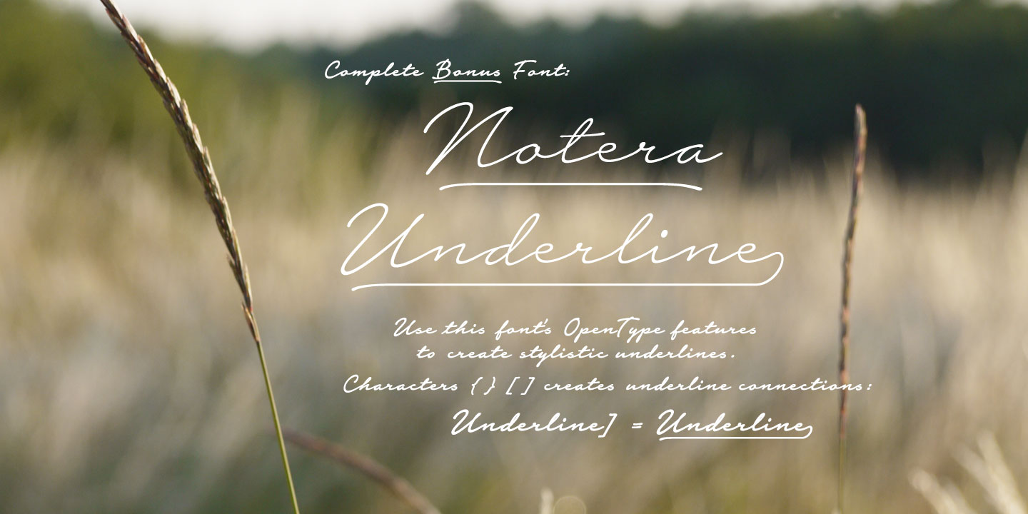 Notera 2 Font Free Download