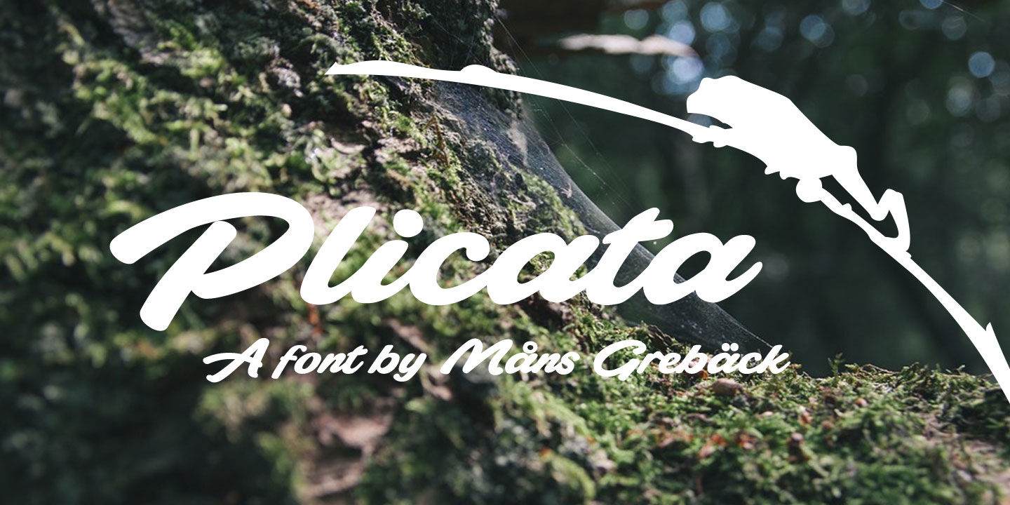 Plicata Font Free Download
