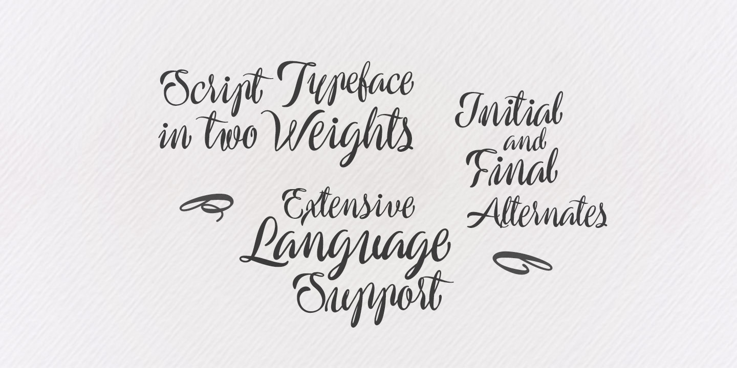 Preside Font Download