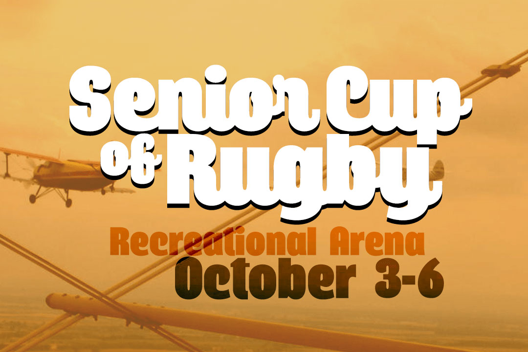 Querino Script Font Free Download