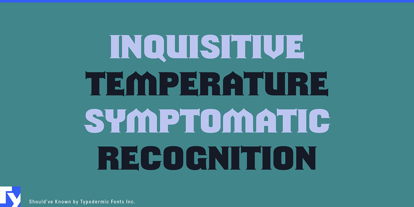 Shouldve Known Font Download