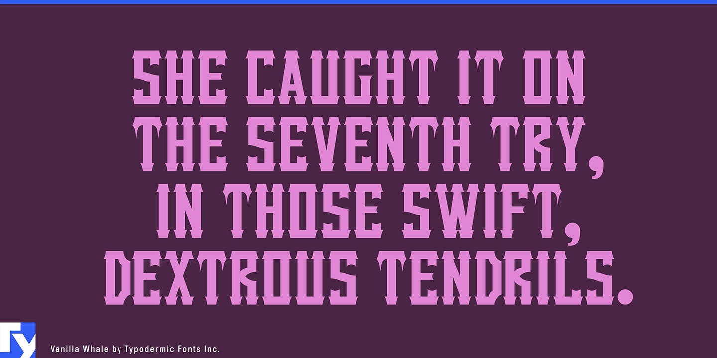 Vanilla Whale Font Download