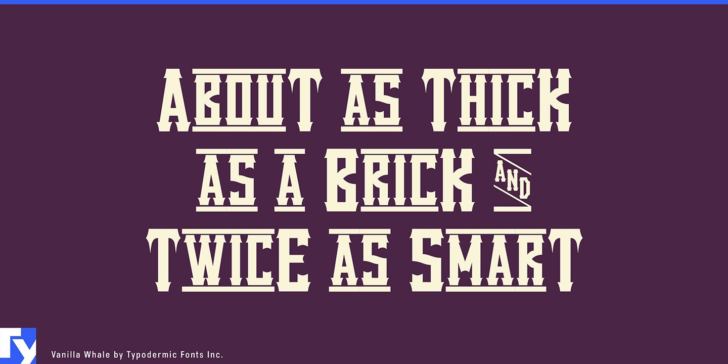 Vanilla Whale Font Free Download